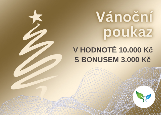 Vánoční voucher na 10.000 Kč s bonusem